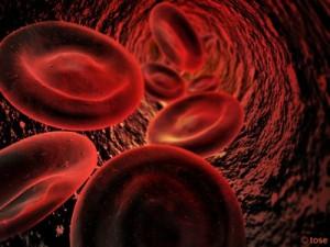 Cellules sanguines