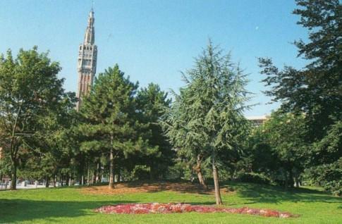 Les cartes postales.