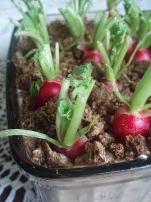 Jardinières en entrées