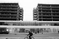 Petits Sur Une Si Grande Surface (en construction).