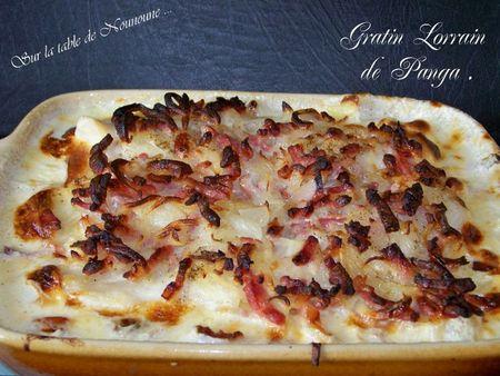 Gratin lorrain de Panga 1