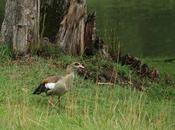Interview bord l'étang