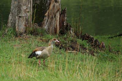 Interview au bord de l'étang