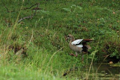 Interview au bord de l'étang