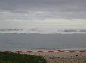 Houle marinière Réunion