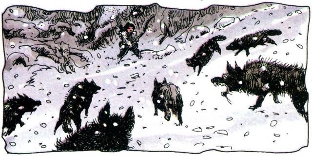 Aaricia, l’enfance de Thorgal