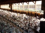 simple fait vivre supplice chaque seconde