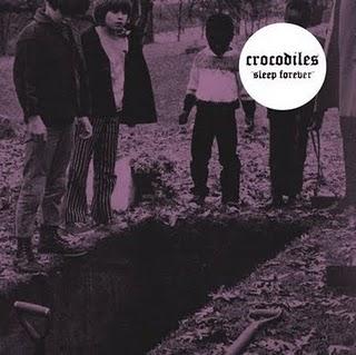Interview - Crocodiles