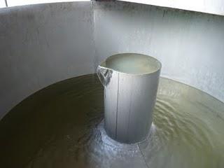 De la lavande à l'huile essentielle