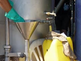 De la lavande à l'huile essentielle