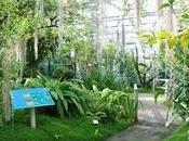 Brest. Conservatoire botanique chevet espèces végétales menacées disparition