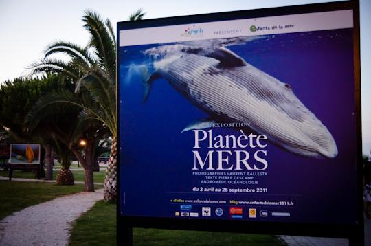 Exposition Planète Mers de Laurent Ballesta