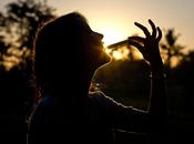 Silhouette Croquer dans canne sucre