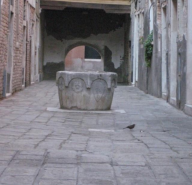 Corte de le Pizzocare - San Marco