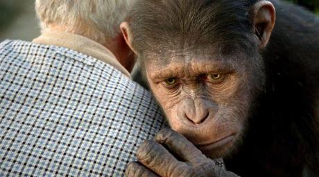 Critique cinéma :  La Planète des singes : les origines