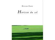 Horizon sol, d'Etienne Faure (par Jean-Pascal Dubost)