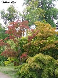 Promenade dans l'arboretum de la Vallée-aux-Loups (92)