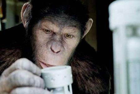 La Planète des Singes: Les Origines Planete-des-singes-les-origines-les-primates-se-dechainent-dans-la-nouvelle-bande-annonce_image_article_paysage_new