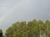 journée West 3ème partie