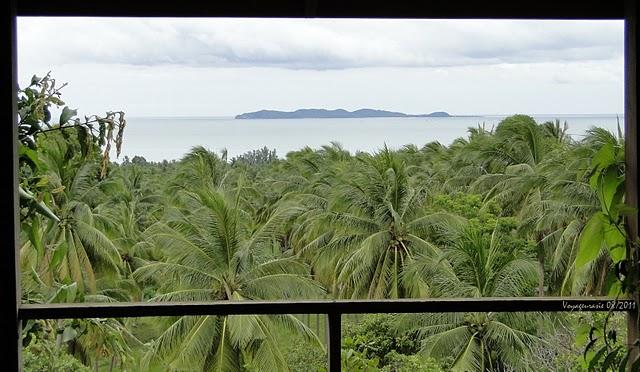 Koh Talu, Island, Bay, Snorkeling