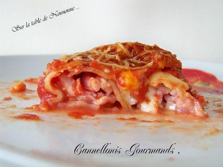 Cannellonis Gourmands 1