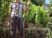 Perplexe après visite pays beaunois