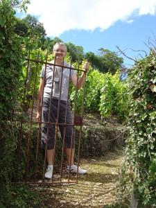 sur les hauteurs de Nuits Saint Georges