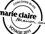 Concours blogs votez pour