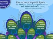 Infographie Comment bien débuter twitter