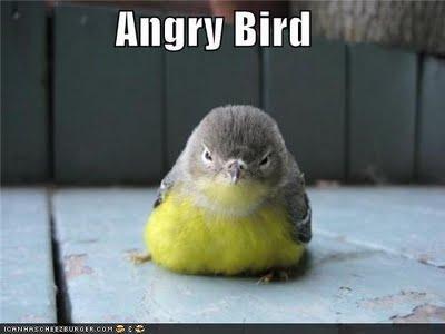 [Humour] Nokia, iPhone et Angry Birds