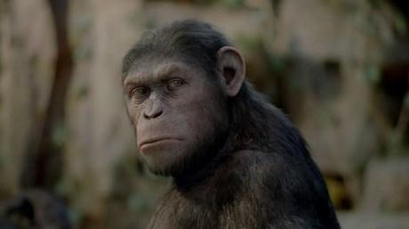 Critique : La Planète des singes, les origines de Rupert Wyatt