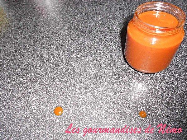 sauce-caramel--3-.JPG