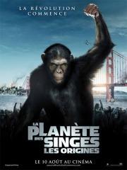 planète des singes, origines, singe, chimpanzé, césar, caesar, planet of the apes, rise