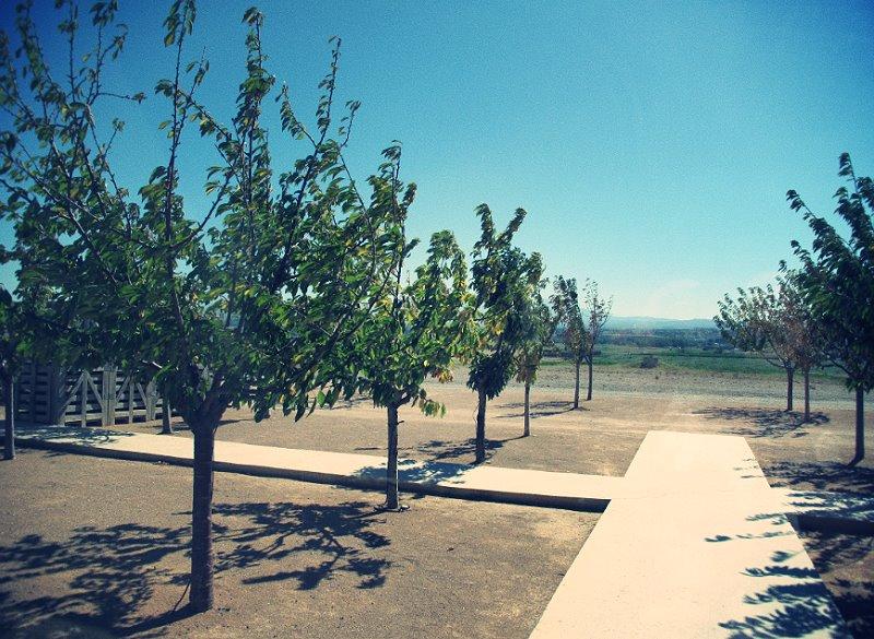 Aire Hotel, Bardenas