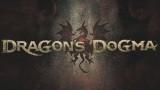 Dragon's Dogma nous présente sa forêt