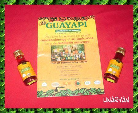 Mon Partenariat : Guayapi IMGP0590