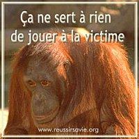 sert-rien-victime.jpg