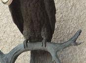 Photo dimanche camembert