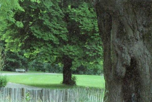 mosaic jardin des cultures