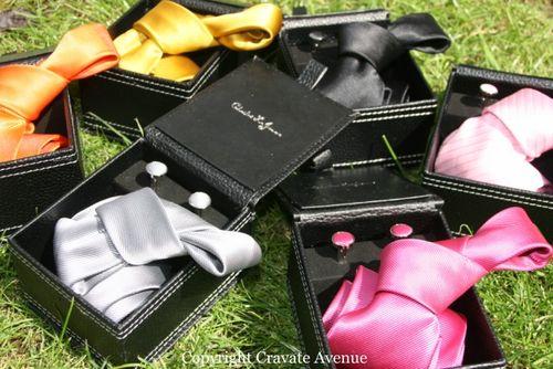 Coffret_cravate_microfibre_bouton_manchette_CLJ (30) [640x480]