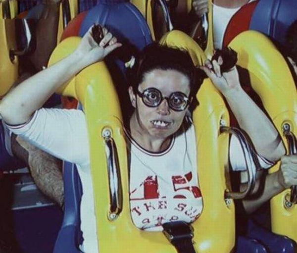 Buches lol Les Bûches du parc dattraction Photos Insolites