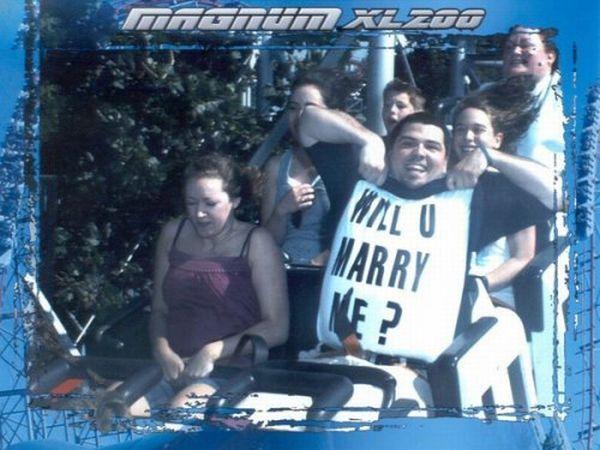 Buches demande mariage Les Bûches du parc dattraction Photos Insolites