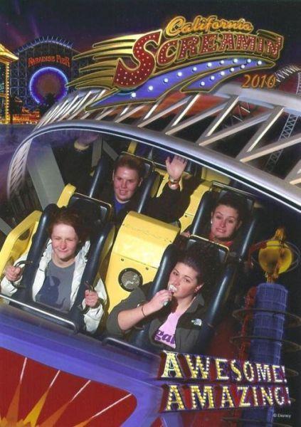 Buches brosse a dents Les Bûches du parc dattraction Photos Insolites