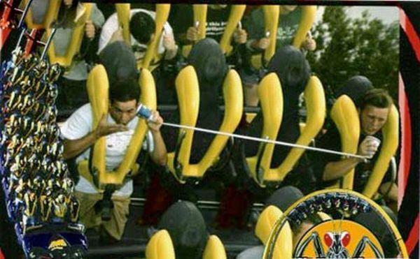 Buches telephone Les Bûches du parc dattraction Photos Insolites