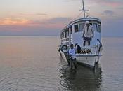 Croisière bord "Comandante Werllisson"