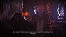 http://image.jeuxvideo.com/images/pc/t/h/the-witcher-2-assassins-of-kings-pc-1305820712-344.gif