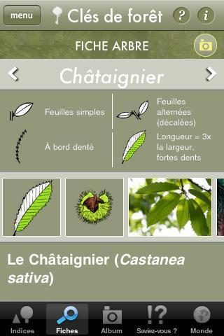 Apprendre à reconnaître les arbres avec son smartphone !