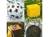 Artistes nature: pratiquer land saisons