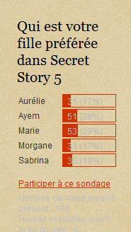 Popularité des candidats de Secret Story sur ce blog