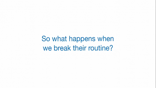 BRISER VOTRE ROUTINE